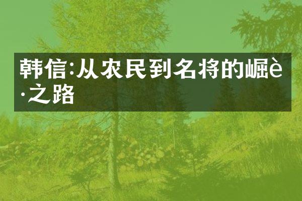 韩信:从农民到名将的崛起之路