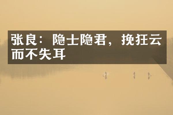 张良：隐士隐君，挽狂云而不失耳