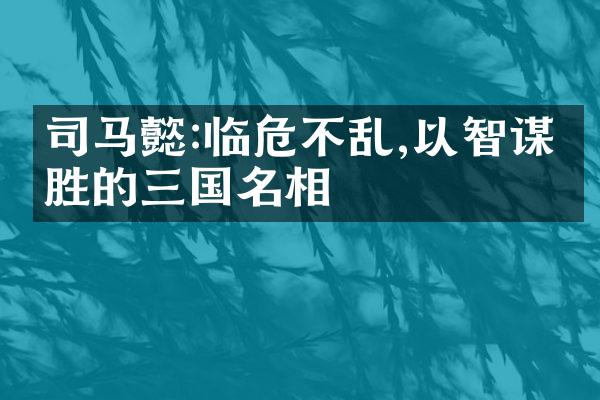 司马懿:临危不乱,以智谋取胜的三国名相