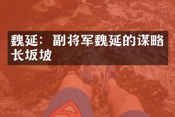 魏延：副将军魏延的谋略长坂坡