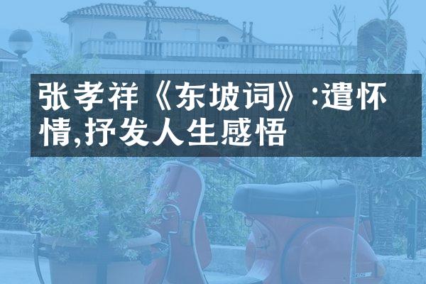 张孝祥《东坡词》:遣怀抒情,抒发人生感悟
