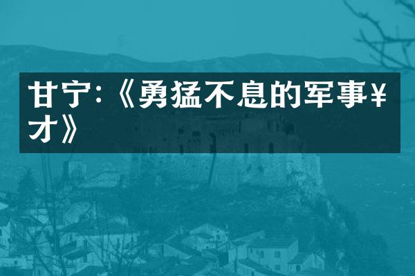 甘宁:《勇猛不息的军事奇才》