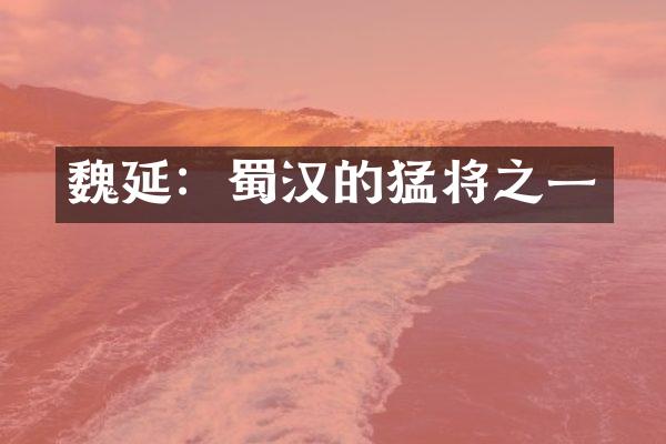 魏延：蜀汉的猛将之一