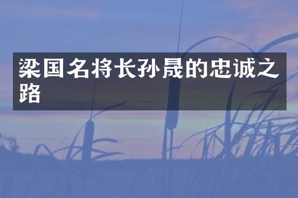 梁国名将长孙晟的忠诚之路