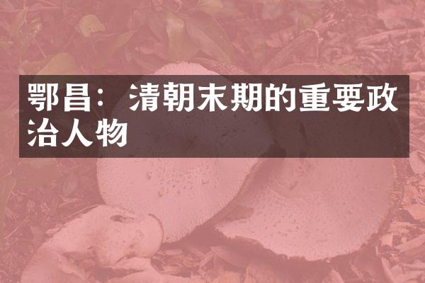 鄂昌：清朝末期的重要政治人物