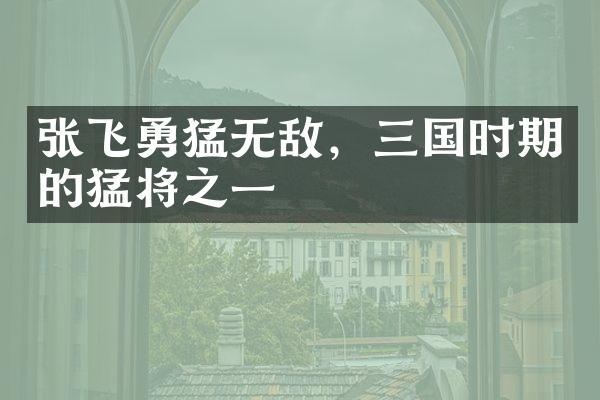 张飞勇猛无敌，三国时期的猛将之一