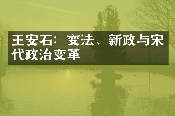 王安石：变法、新政与宋代政治变革
