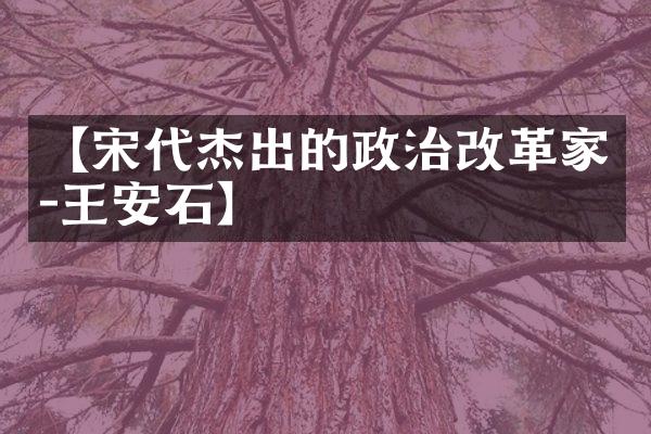 【宋代杰出的政治改革家-王安石】