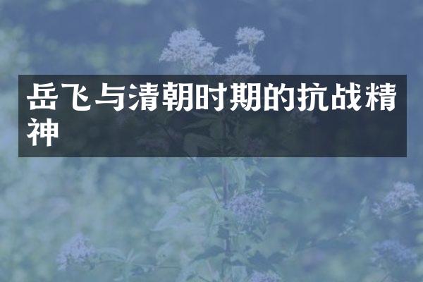 岳飞与清朝时期的抗战精神