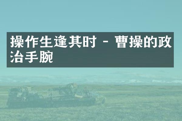 操作生逢其时 - 曹操的政治手腕
