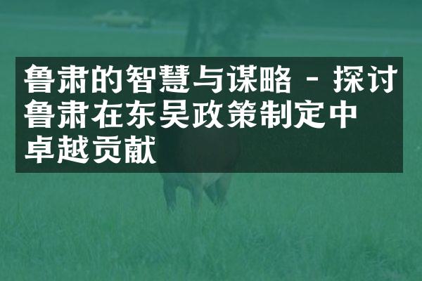 鲁肃的智慧与谋略 - 探讨鲁肃在东吴政策制定中的卓越贡献