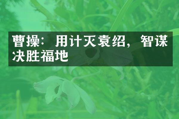 曹操：用计灭袁绍，智谋决胜福地