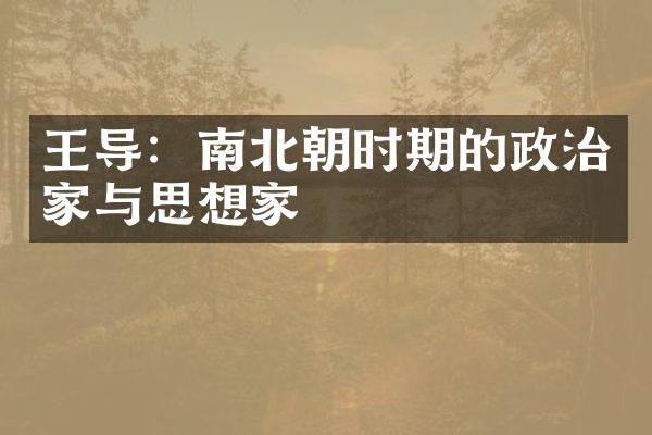 王导：南北朝时期的政治家与思想家