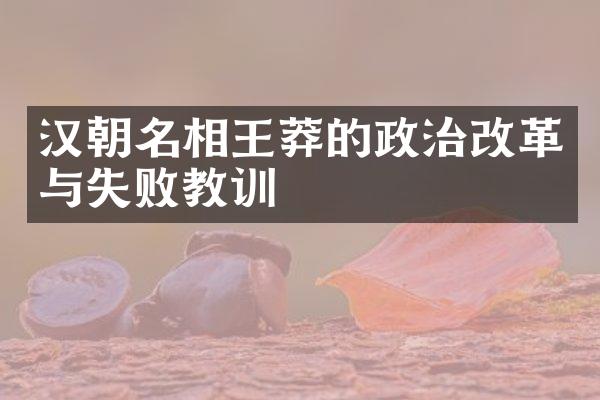 汉朝名相王莽的政治改革与失败教训