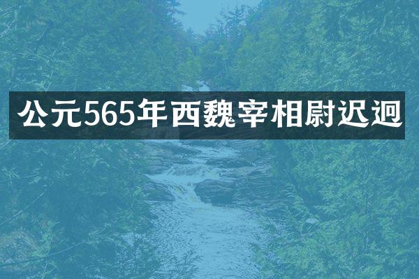 公元565年西魏宰相尉迟迥