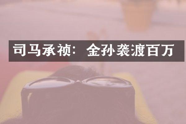 司马承祯：金孙袭渡百万