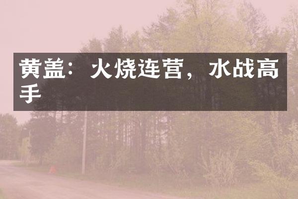黄盖：火烧连营，水战高手