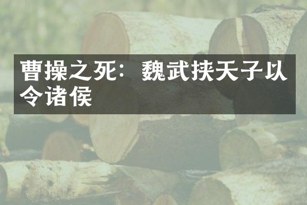 曹操之死：魏武挟天子以令诸侯