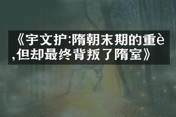 《宇文护:隋朝末期的重臣,但却最终背叛了隋室》