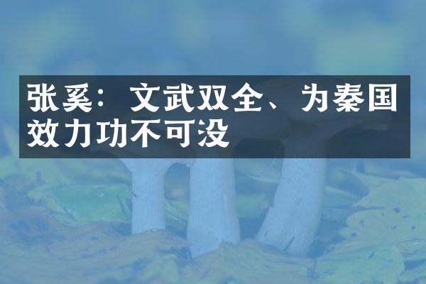 张奚：文武双全、为秦国效力功不可没