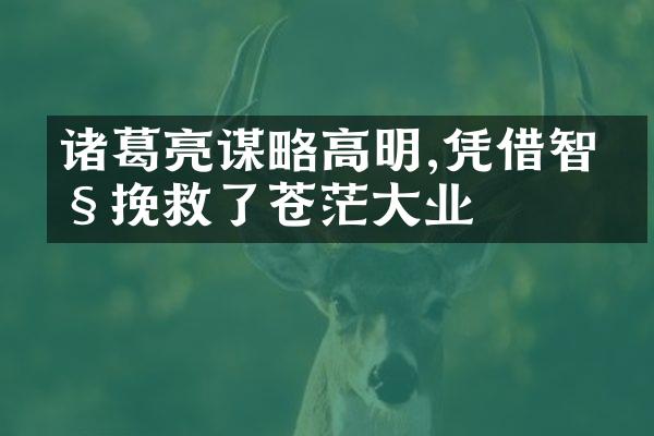 诸葛亮谋略高明,凭借智慧挽救了苍茫大业
